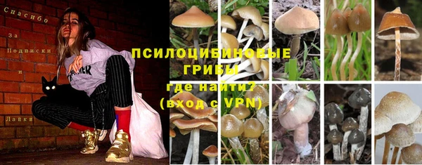 ГАЛЛЮЦИНОГЕННЫЕ ГРИБЫ Алексеевка