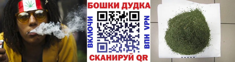 где продают   Котлас  Конопля гибрид 
